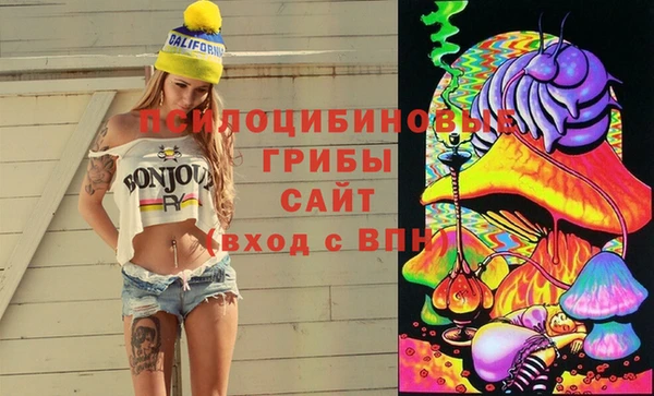 дживик Баксан