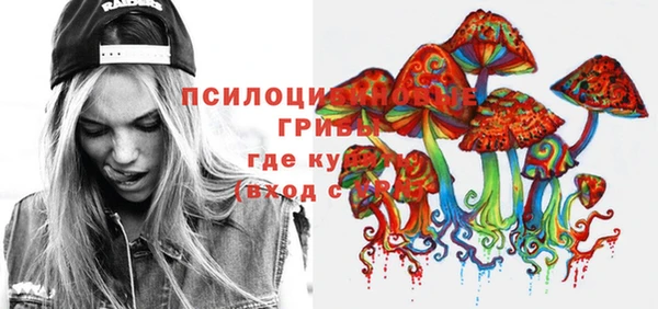 дживик Баксан