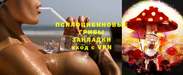 дживик Баксан